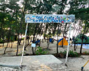 Camping di Pulau Semak Daun