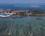 penangkaran hiu di Pulau Pramuka