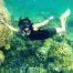 snorkeling Pulau Gosong Perak