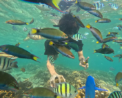 snorkeling pulau pramuka