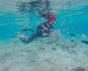 Kegiatan water sport