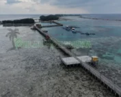 Ciri Khas Dari Pulau Tidung